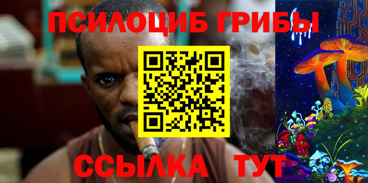 купить  цена  Псилоцибиновые грибы Cubensis  Вход с VPN  Заволжье 
